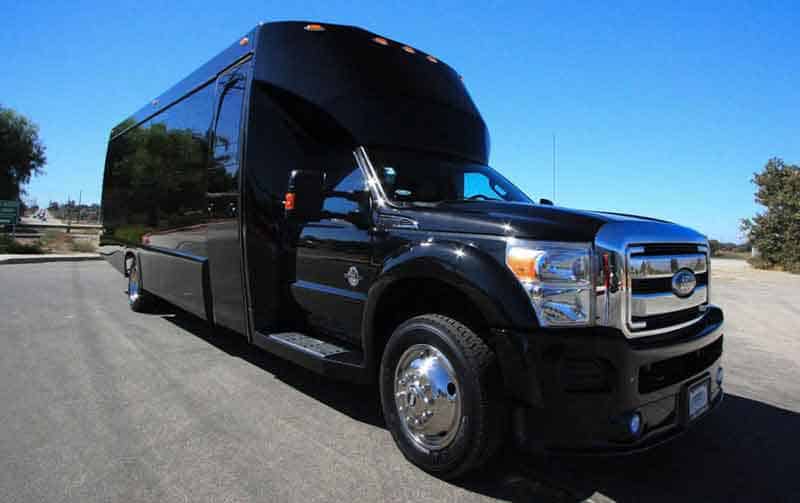 Irving 30 Passenger Party Bus Black